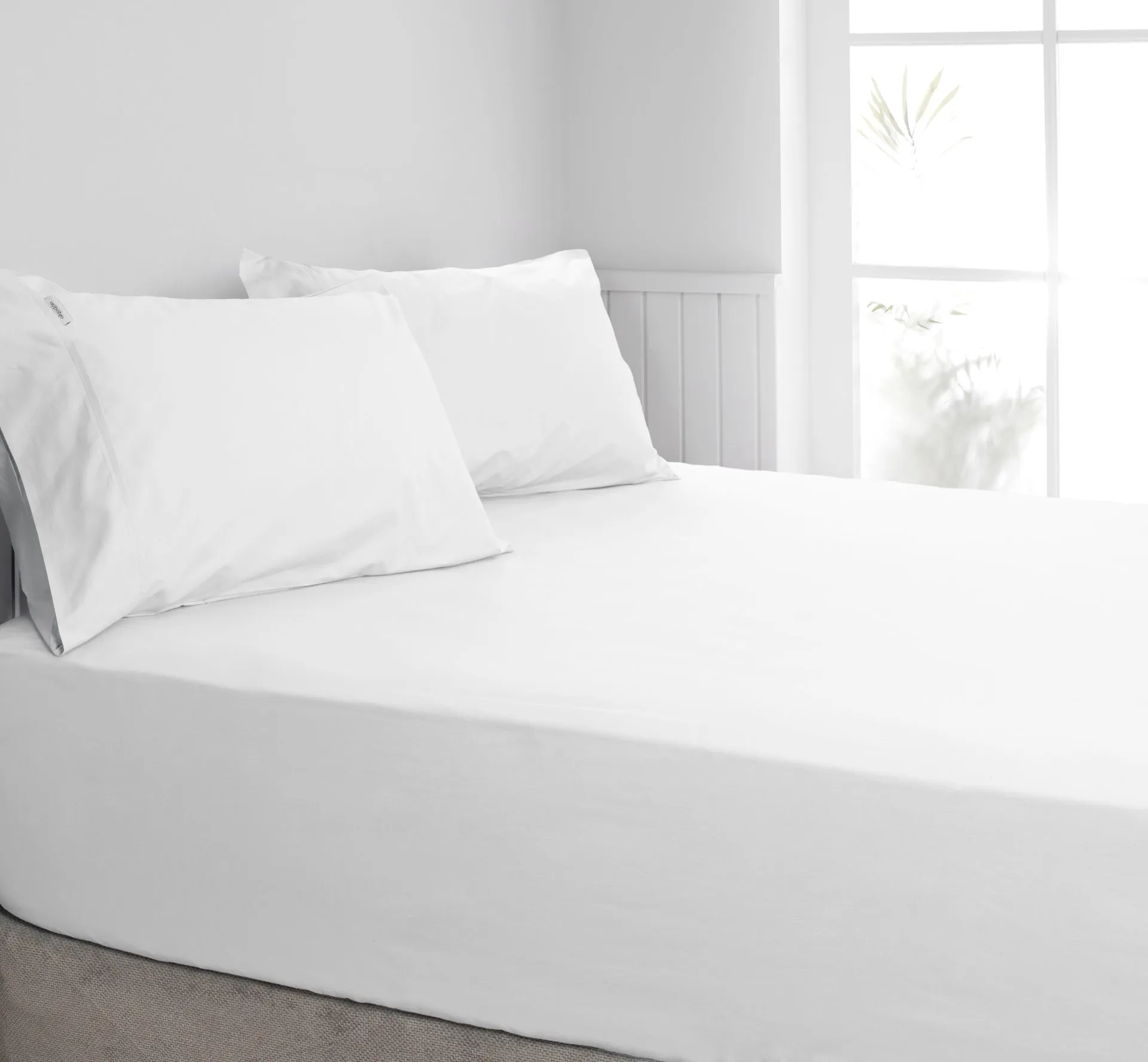 ALGODON "300TC Cotton" FITTED SHEET Combo Set - WHITE