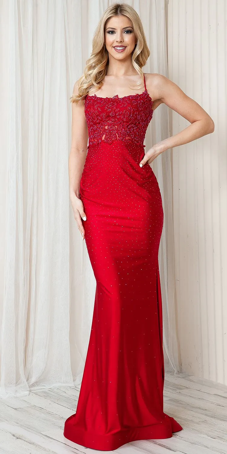 Amelia Couture TM1001 Long Fitted Rhinestone Embroidered Sheath Dress