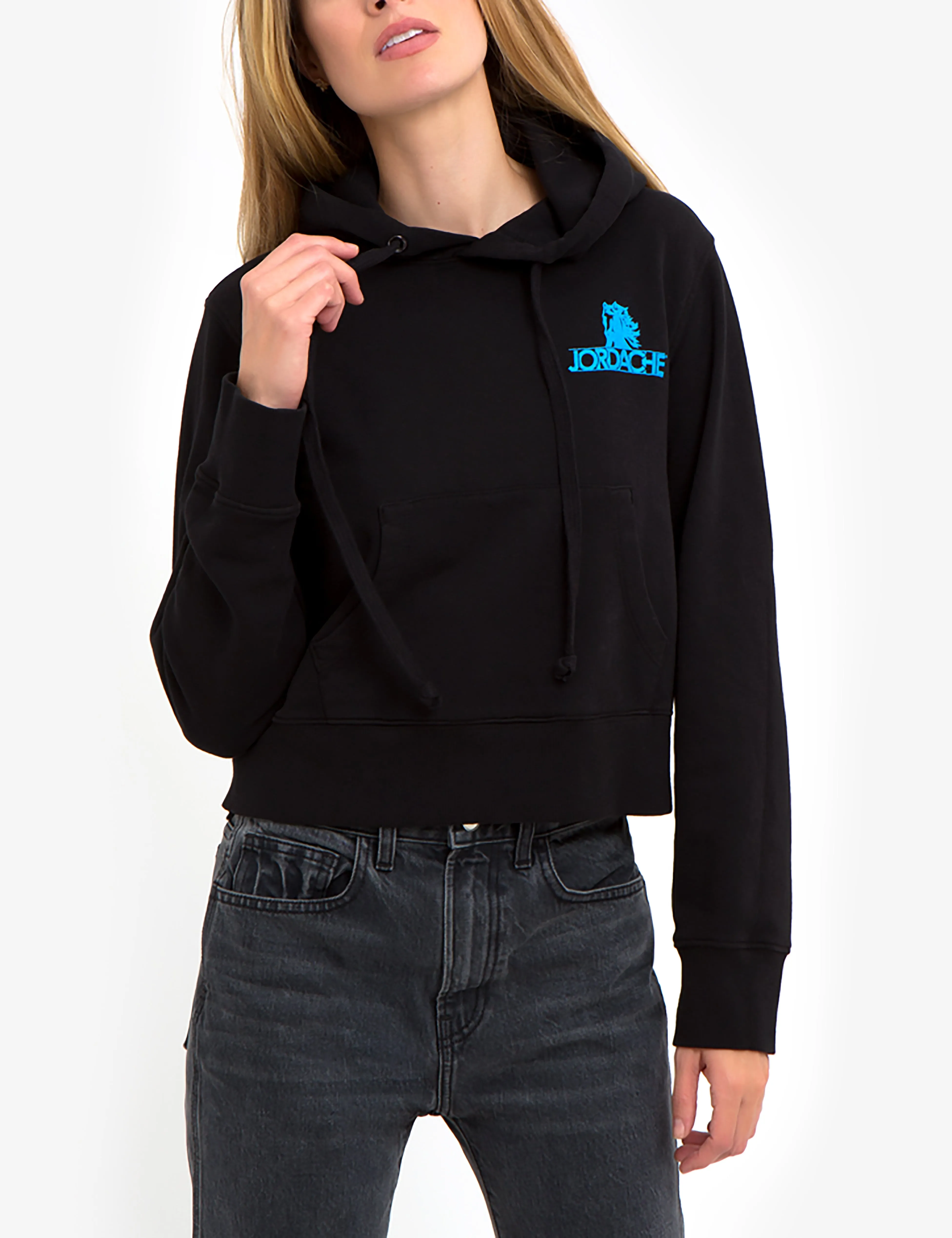 Blue Mini Logo Hooded Sweatshirt