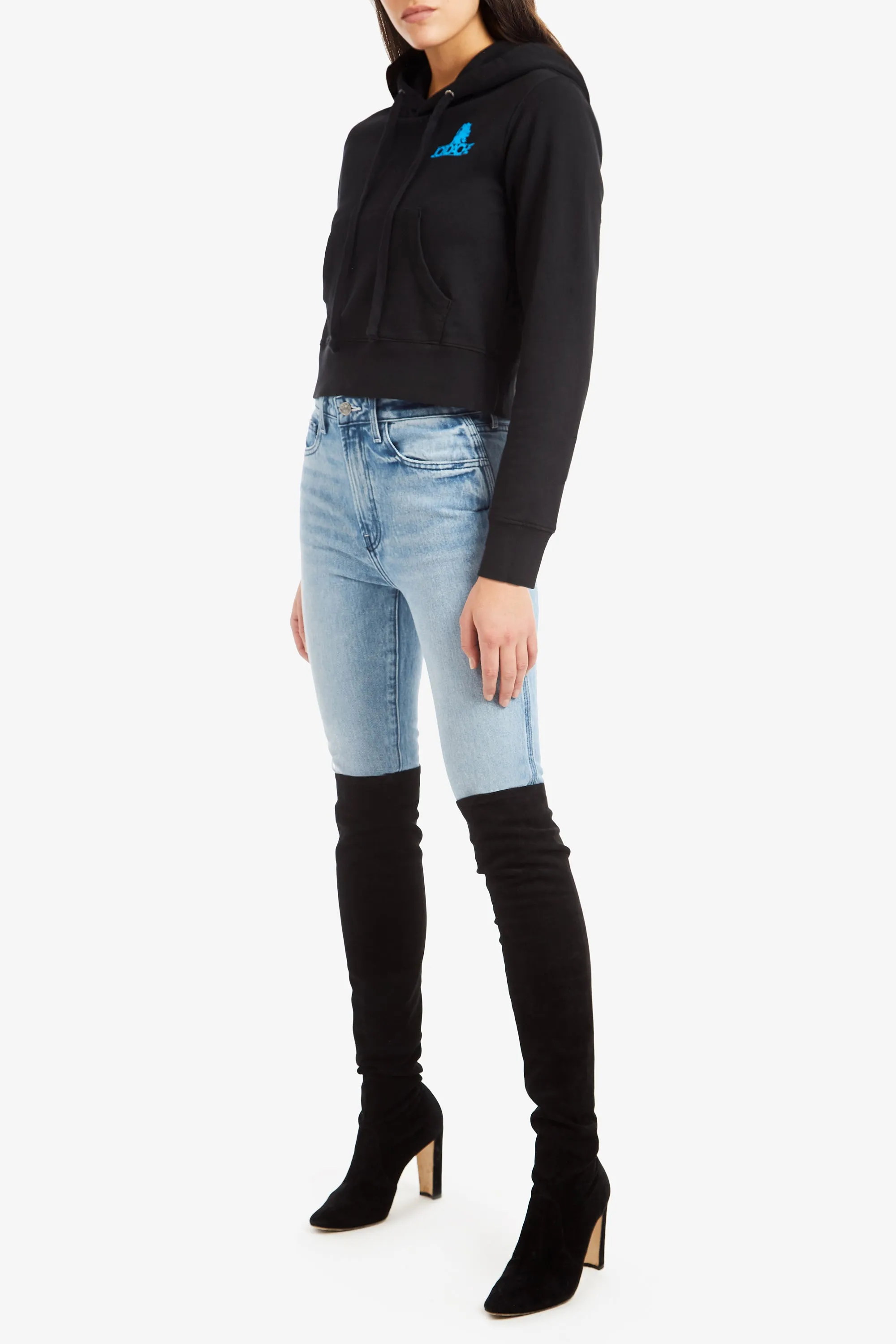 Blue Mini Logo Hooded Sweatshirt