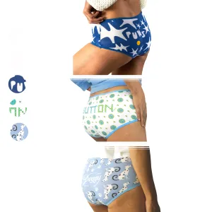 Boyshort Set of 3 (Cool)