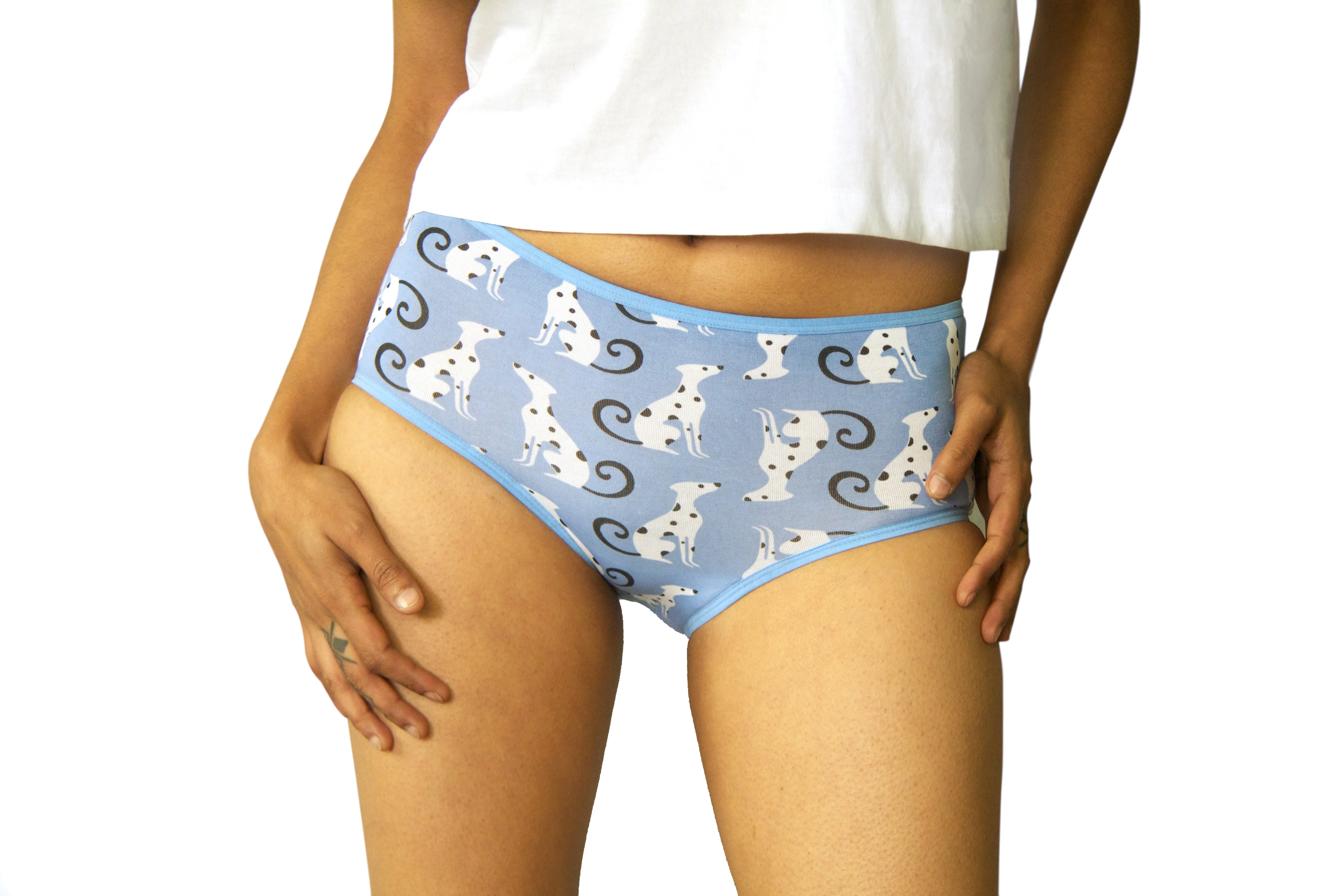 Boyshort Set of 3 (Cool)