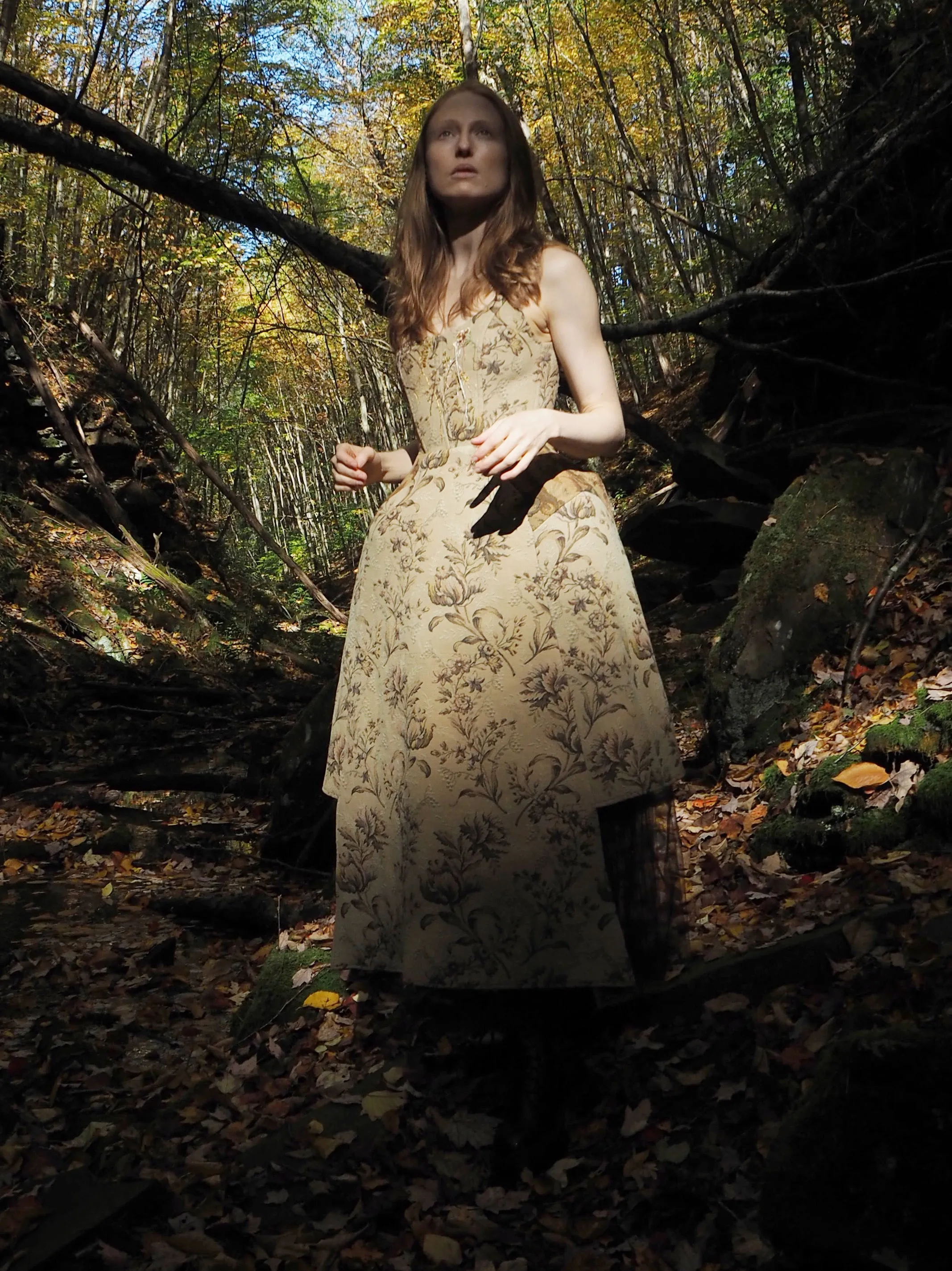 catherine jacquard dress
