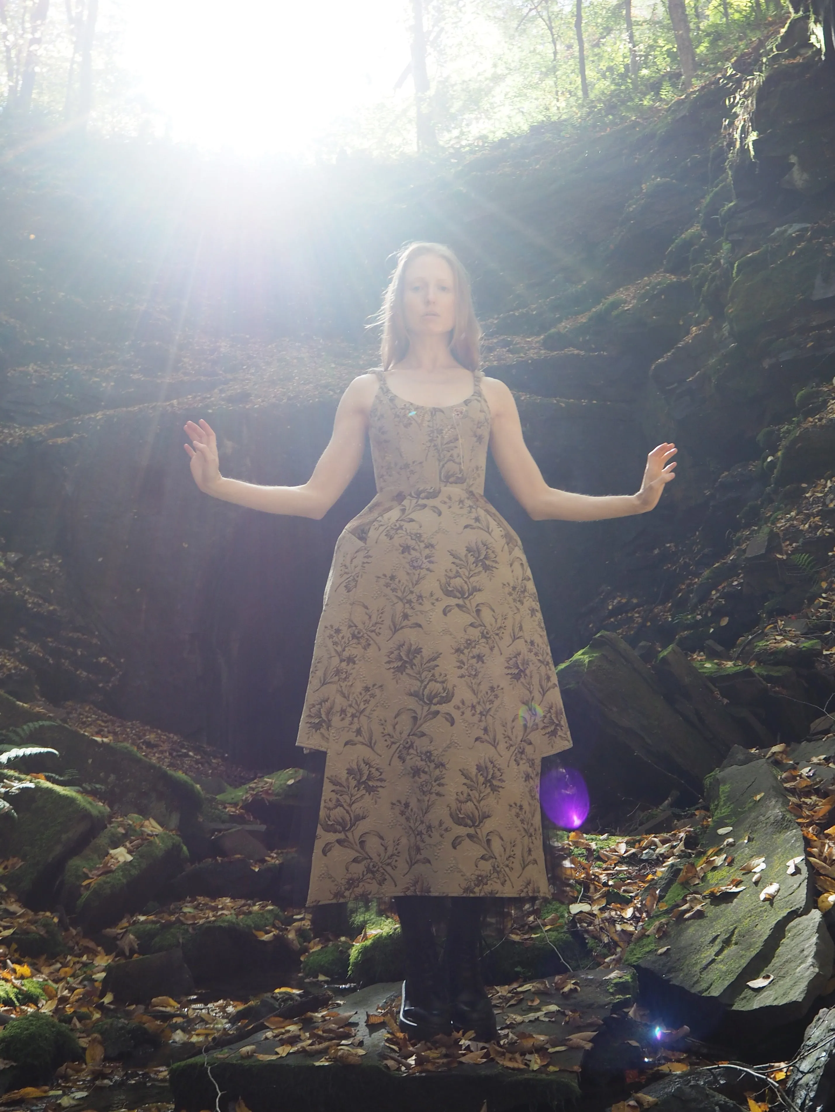 catherine jacquard dress