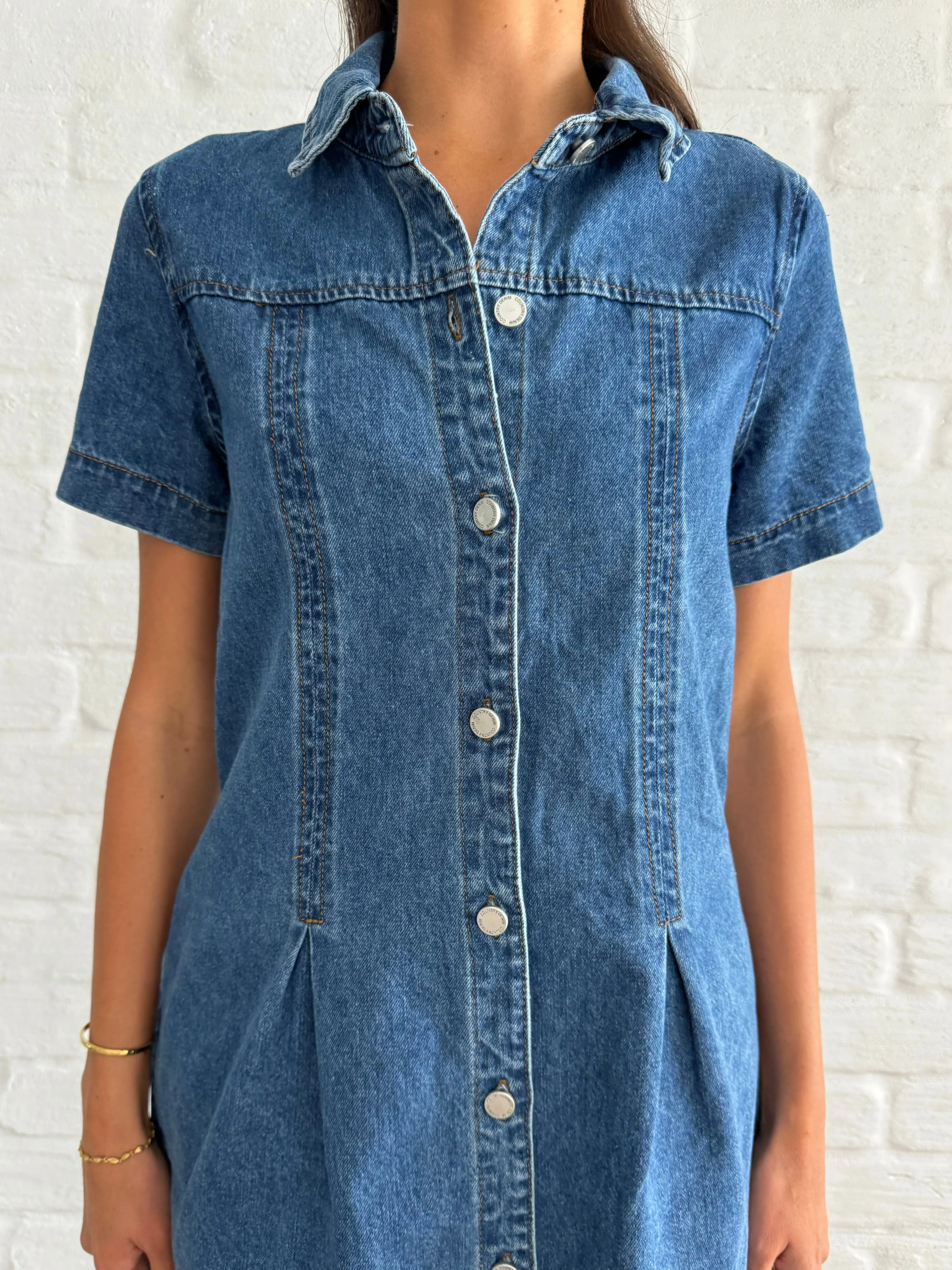 Eden denim dress