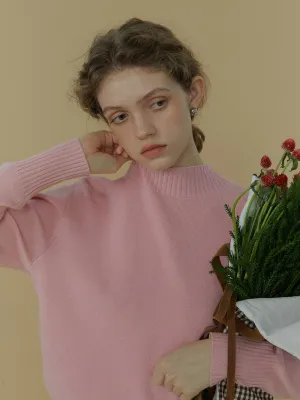 Solid Half Turtleneck Sweater