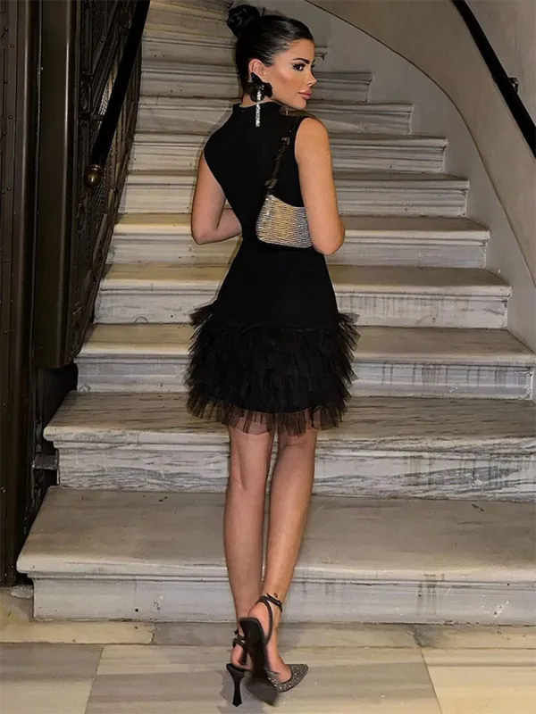 Stand Collar Sleeveless Mini Dress with Tulle Skirt