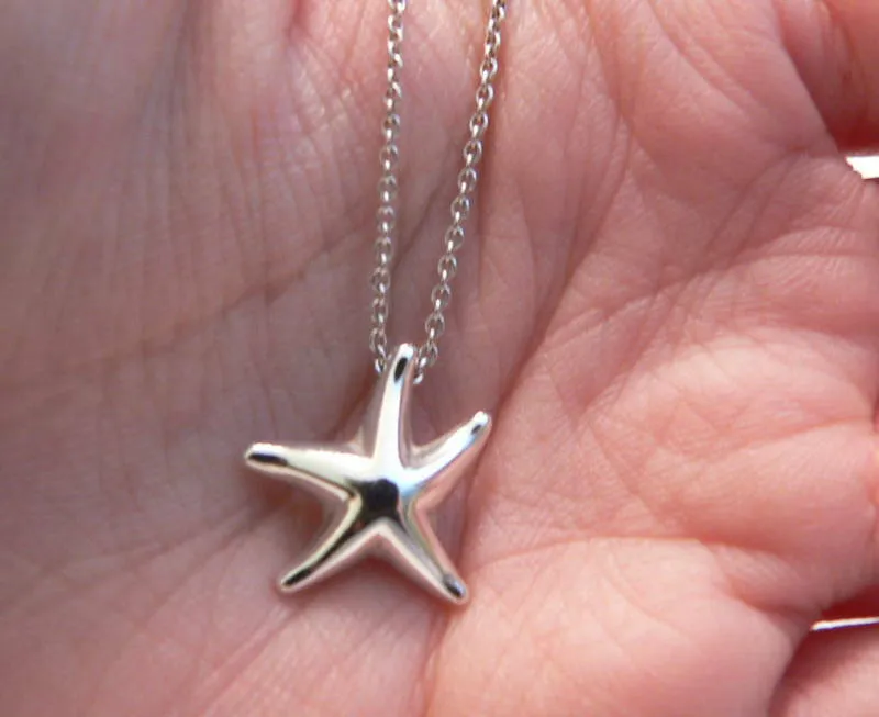 Tiffany & Co Peretti Silver Starfish Star Fish Necklace Pendant Charm Chain Gift