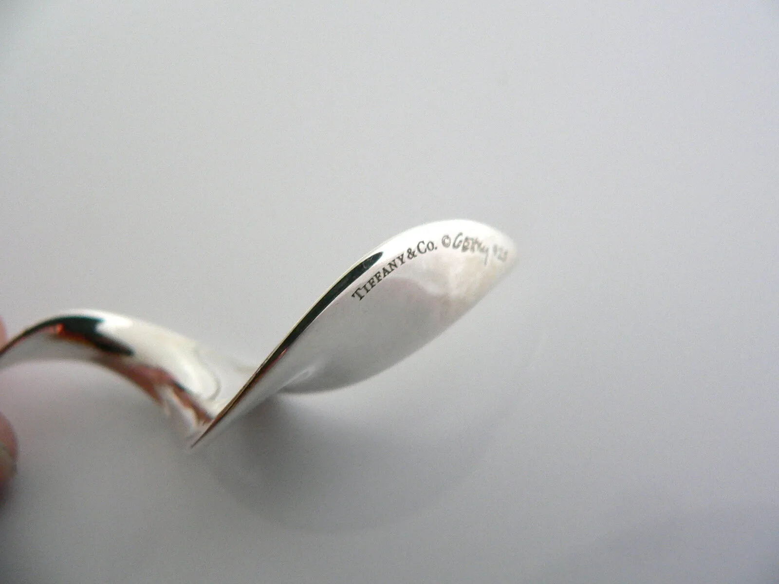 Tiffany & Co Silver Large Gehry Orchid Necklace Pendant Chain Nature Flower Gift