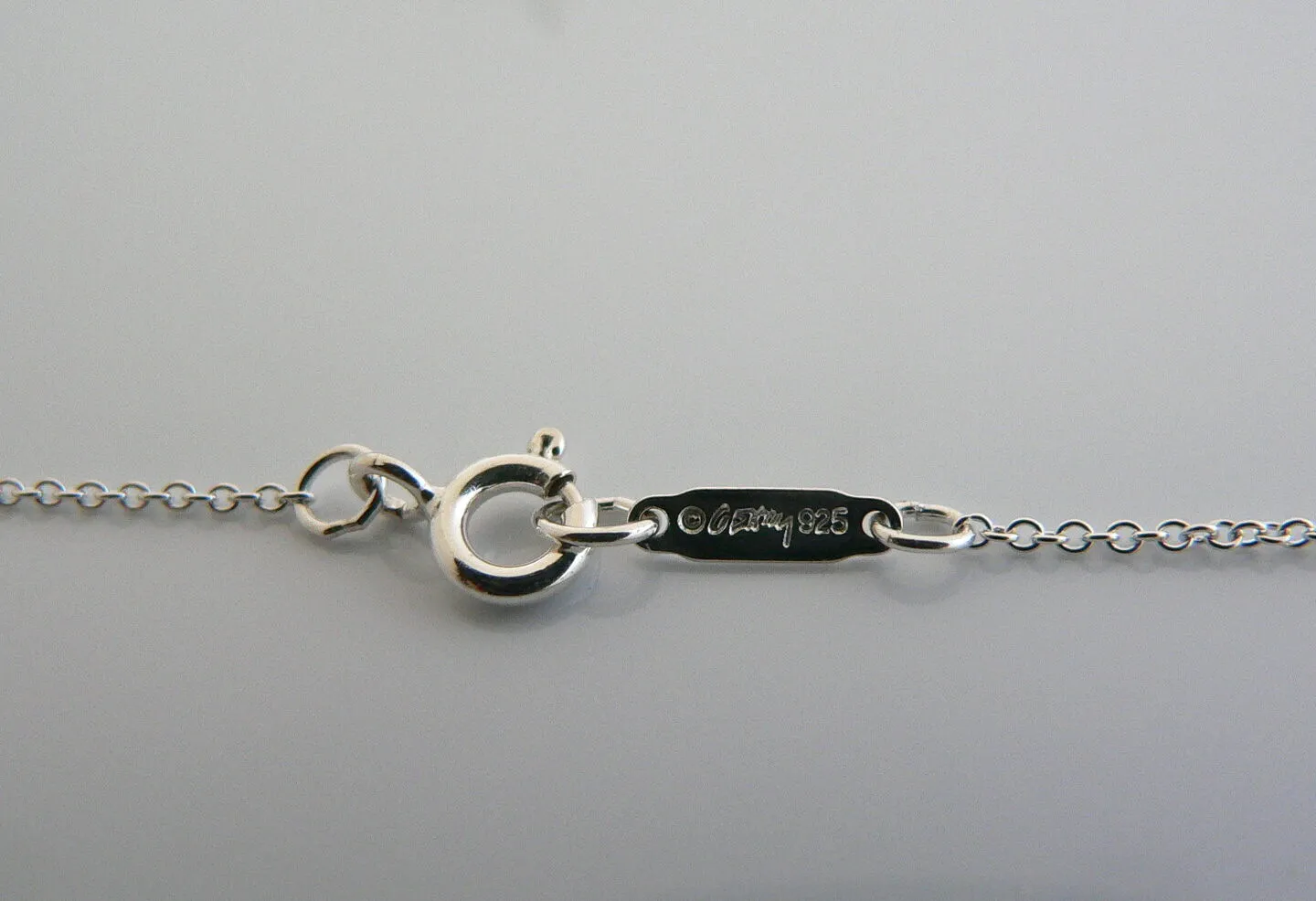 Tiffany & Co Silver Large Gehry Orchid Necklace Pendant Chain Nature Flower Gift