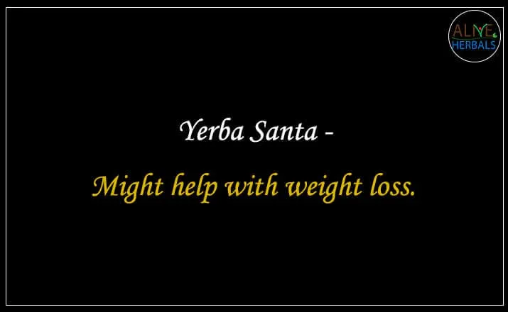 Yerba Santa