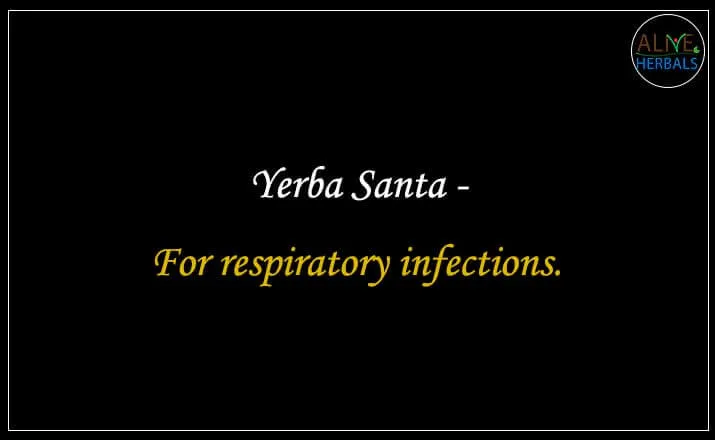 Yerba Santa